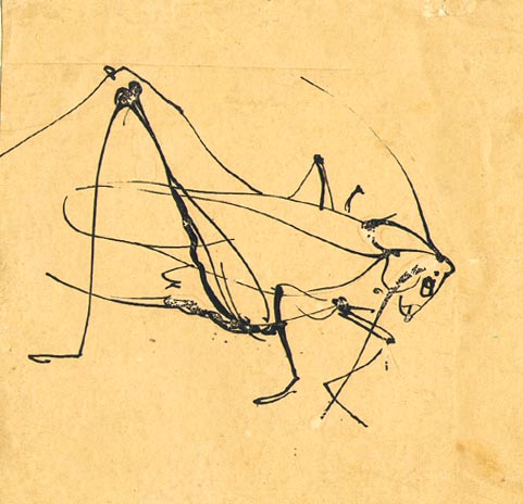 Leaving Life With Grace Grasshopper